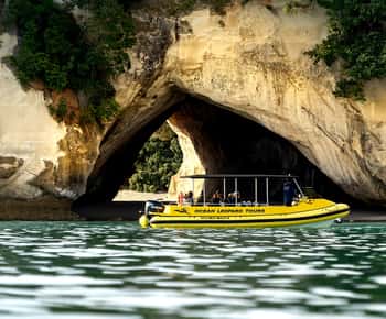 Whitianga: 2 órás Cathedral Cove és vulkanikus partvidék körutazás