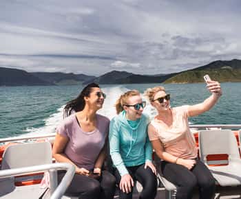 From Havelock: Marlborough Sounds Mail Boat Full-Day Cruise