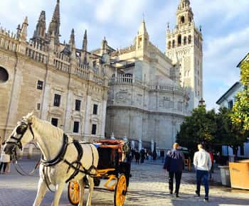 Seville: Guided Sightseeing Day Tour
