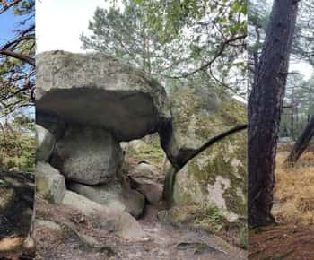 Wandelavontuur in het bos van Fontainebleau