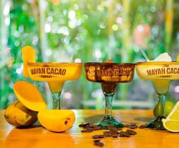 Cozumel: Chocolate Margarita Workshop with Mayan Recipe