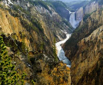 West Yellowstone: Yellowstone Day Tour Including Entry Fee