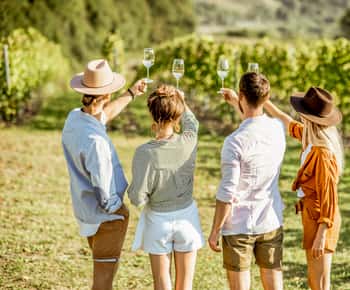 Vale de Sonoma: tour guiado pela vinícola com piquenique