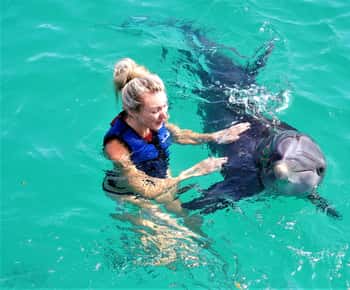 Saint Thomas: Svøm med delfiner i Coral World Ocean Park