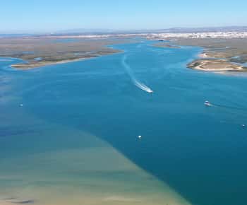 De Olhão: Excursão de 1 dia às 3 ilhas da Ria Formosa