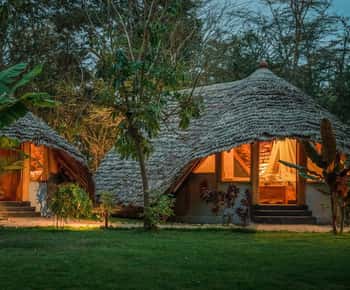 3-Day Safari to Tarangire, Ngorongoro, & Kilimanjaro