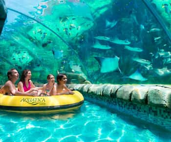Billet coupe-file pour le parc Aquatica