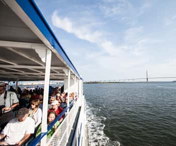 Charleston: Tur de vizitare a portului și observare a delfinilor