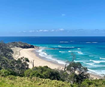Brisbane-ből: North Stradbroke Island Wildlife kaland