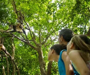 Riviera Maya: interaktywna wycieczka po zoo Croco Cun