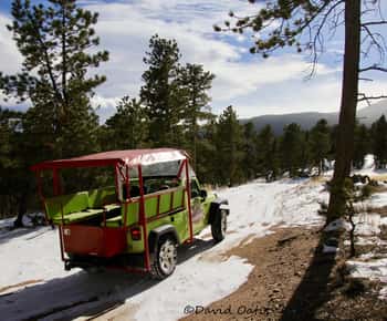 Estes Park: Rocky Mountain National Park Safari Tour