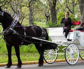 Νέα Υόρκη Ιδιωτική βόλτα με άμαξα στο Central Park με οδηγό