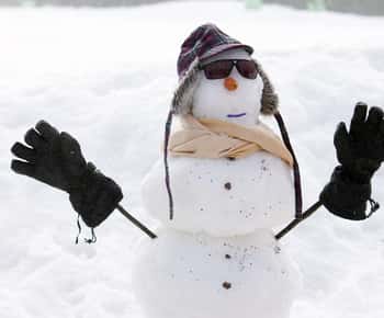 Melbourne: Lake Mountain Snow Guided Tour