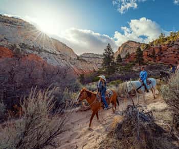 Orderville: East Zion Park White Mountain Horseback Tour