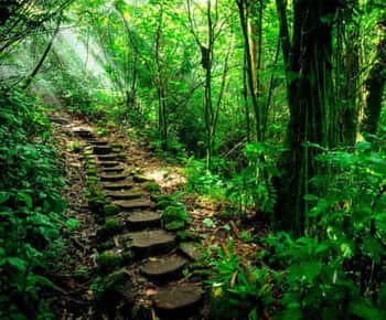 Mombacho Naturreservat und Canopy Adventure