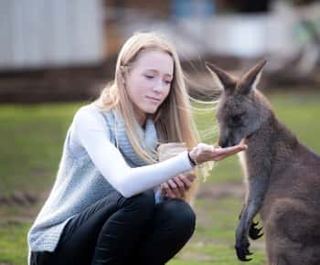 Eintrittskarte für das Bonorong Wildlife Sanctuary