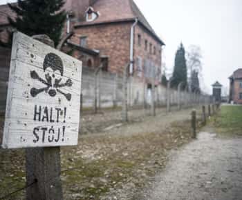 Auschwitz-Birkenau Ganztagestour ab Lodz mit dem Privatwagen