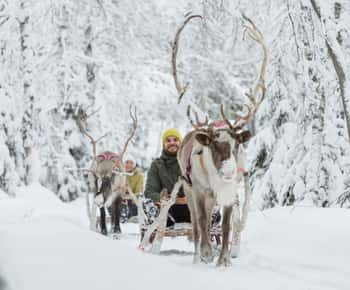 Levi: Winter Highlights Tour with Snowmobiling