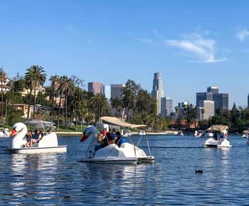 Echo Park Lake: Swan Tretbootverleih