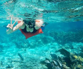 Caye Caulker: 7-Stop Snorkeling in the Belize Barrier Reef