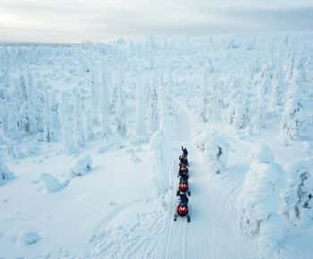 Levi: Forest Snowmobile Safari