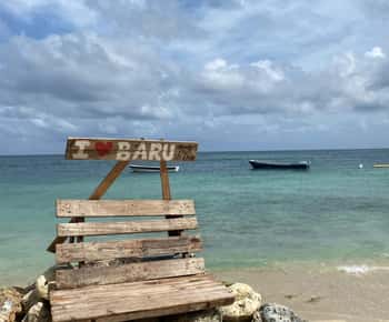 Cartagena: Ilha Barù Playa Blanca com almoço TUDO INCLUÍDO