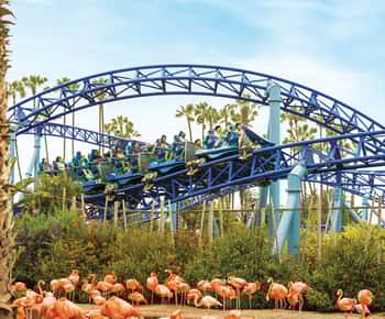 Ingresso sem fila para o SeaWorld