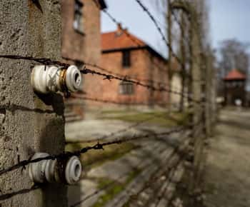 Auschwitz-Birkenau Skip-the-Line Ticket and Guided Tour