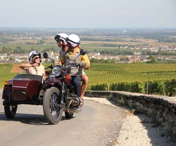 Meursault: Recorrido por los viñedos en moto con sidecar