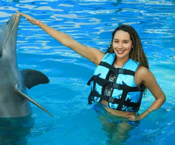 Puerto Vallarta: Dolphin Swimming and Aquaventuras Park