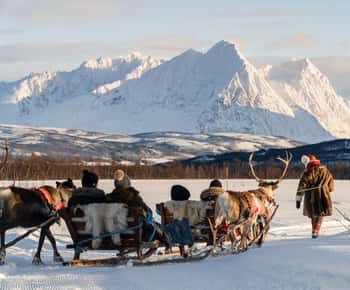Tromsø: Samische Rentierschlittenfahrt und samische Kulturtour