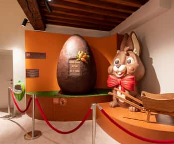 Visita guiada al Museo del Chocolate Choco-Story con degustaciones