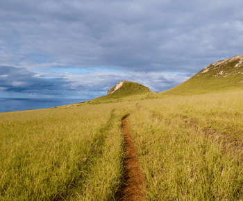 Mystery of the Poike:Caminhe pela Rapa Nui mais desconhecida