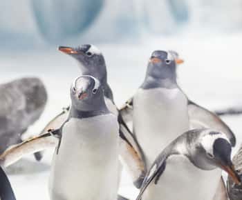 Ticket für das SEA LIFE Konstanz