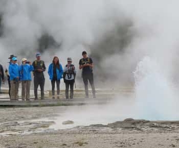 Yellowstone: Upper Geyser Basin Hike with Lunch
