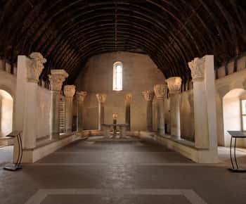 Burgundy: Cluny Abbey Entrance Ticket