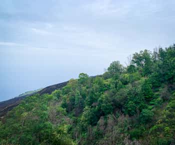Sao Filipe: Coffee Plantation and Natural Pools Day Trip
