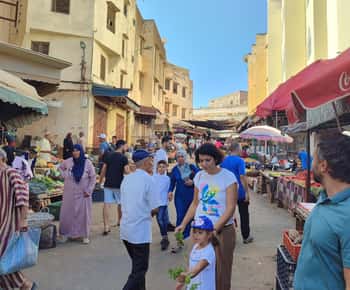 Tour guiado de medio día por la Medina de Fez
