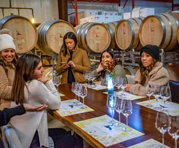 Niagara Falls, Canada: Escarpment Boutique Wine Tour