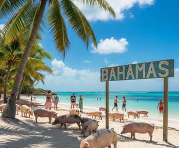 Miami/Fort Lauderdale: Bimini or Freeport Ferry Day Tour
