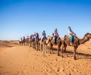 Fra Fez: 2-dages tur til Marrakech via Merzouga-ørkenen