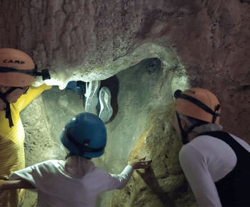 Queensland: 90 Minute Capricorn Caves Explorer Tour