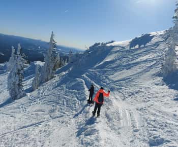 Monte Arber: passeio com raquetes de neve na excursão guiada pela floresta da Baviera