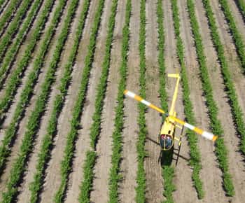 Barossa Valley: 10-Minute Scenic Helicopter Flight