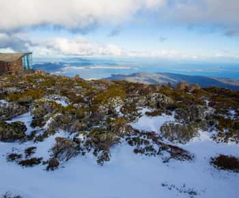 Hobart: Kunanyi/Mt Wellington Hop-on Hop-off Bus Pass