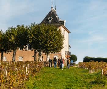 De Lyon: Visita ao Beaujolais com provas de vinhos