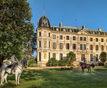 Jerez: Royal Andalusian School of Equestrian Art Admission