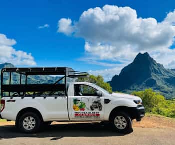 Moorea: Half-Day Open-Air 4WD Safari with Hotel Transfers