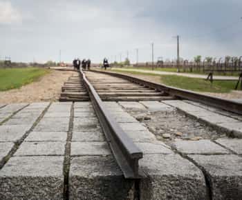 From Krakow: Auschwitz Birkenau Tour with Transfer
