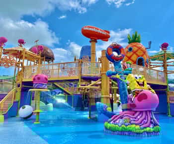 Riviera Maya: Bilet wstępu do Aqua Nick Park
